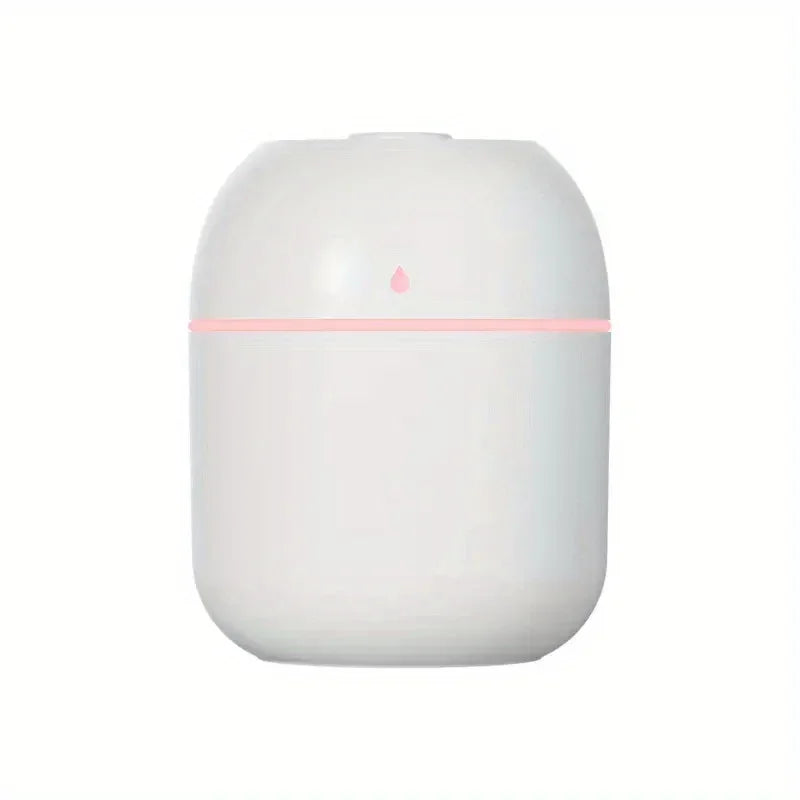 Portable 220ml Mini USB Spray Mist Humidifier & Aroma Diffuser