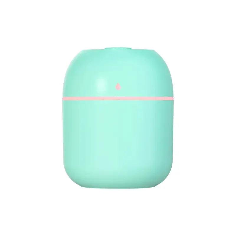 Portable 220ml Mini USB Spray Mist Humidifier & Aroma Diffuser