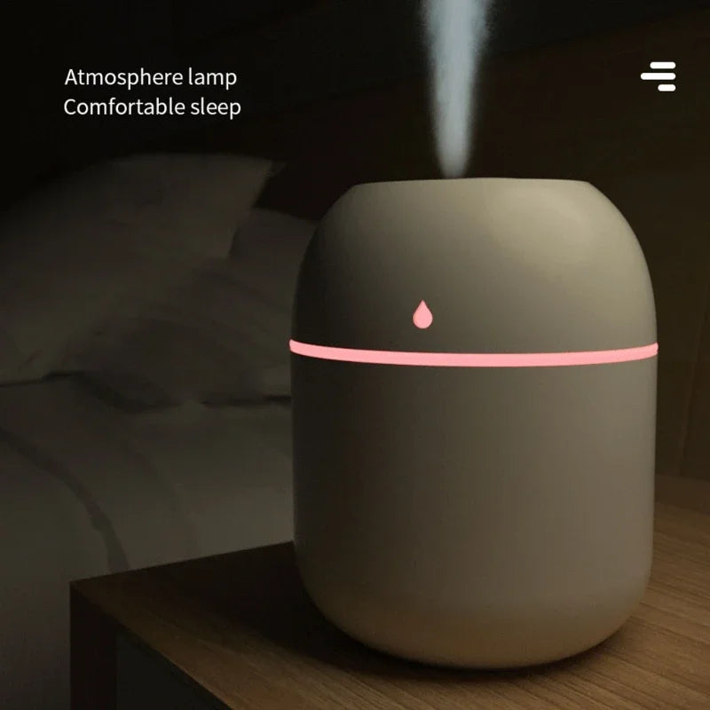 Portable 220ml Mini USB Spray Mist Humidifier & Aroma Diffuser
